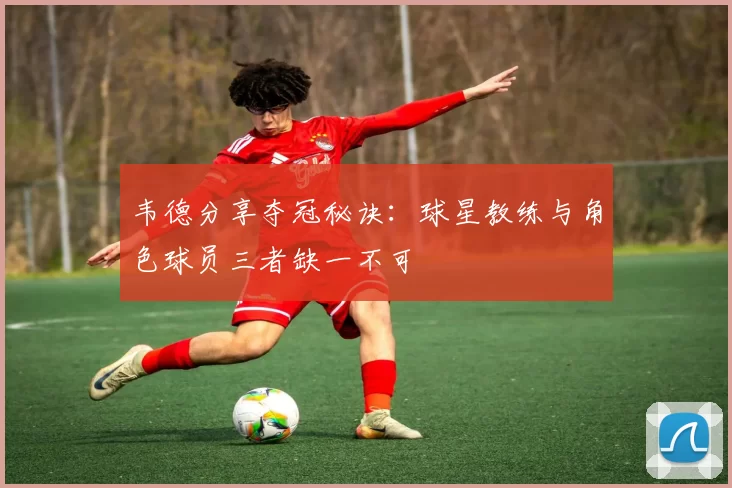 韦德分享夺冠秘诀：球星教练与角色球员三者缺一不可